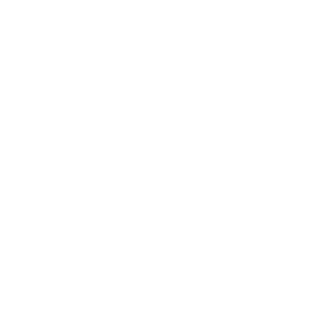 Chuckit! Logo