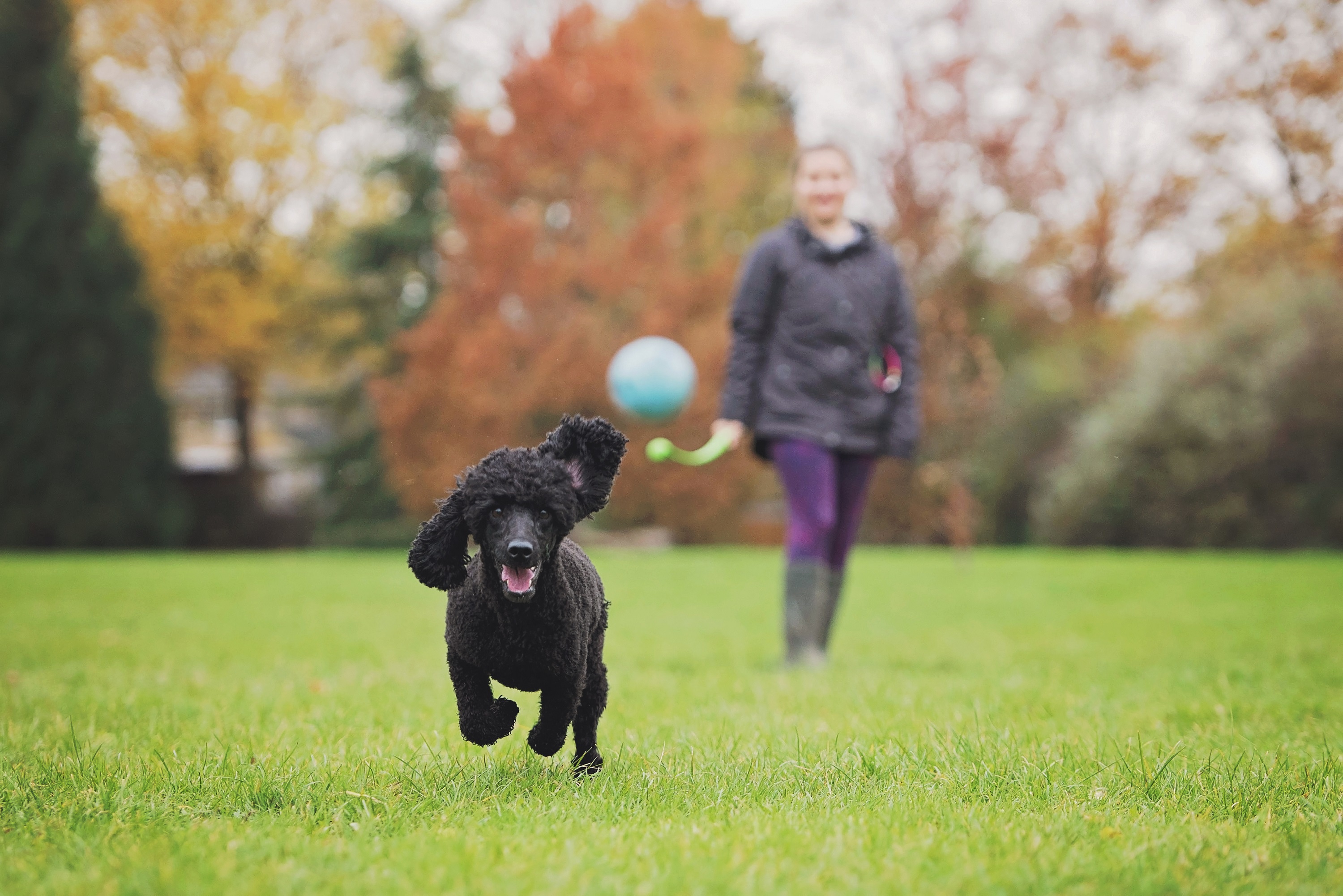 Chuckit! Ball and launcher 